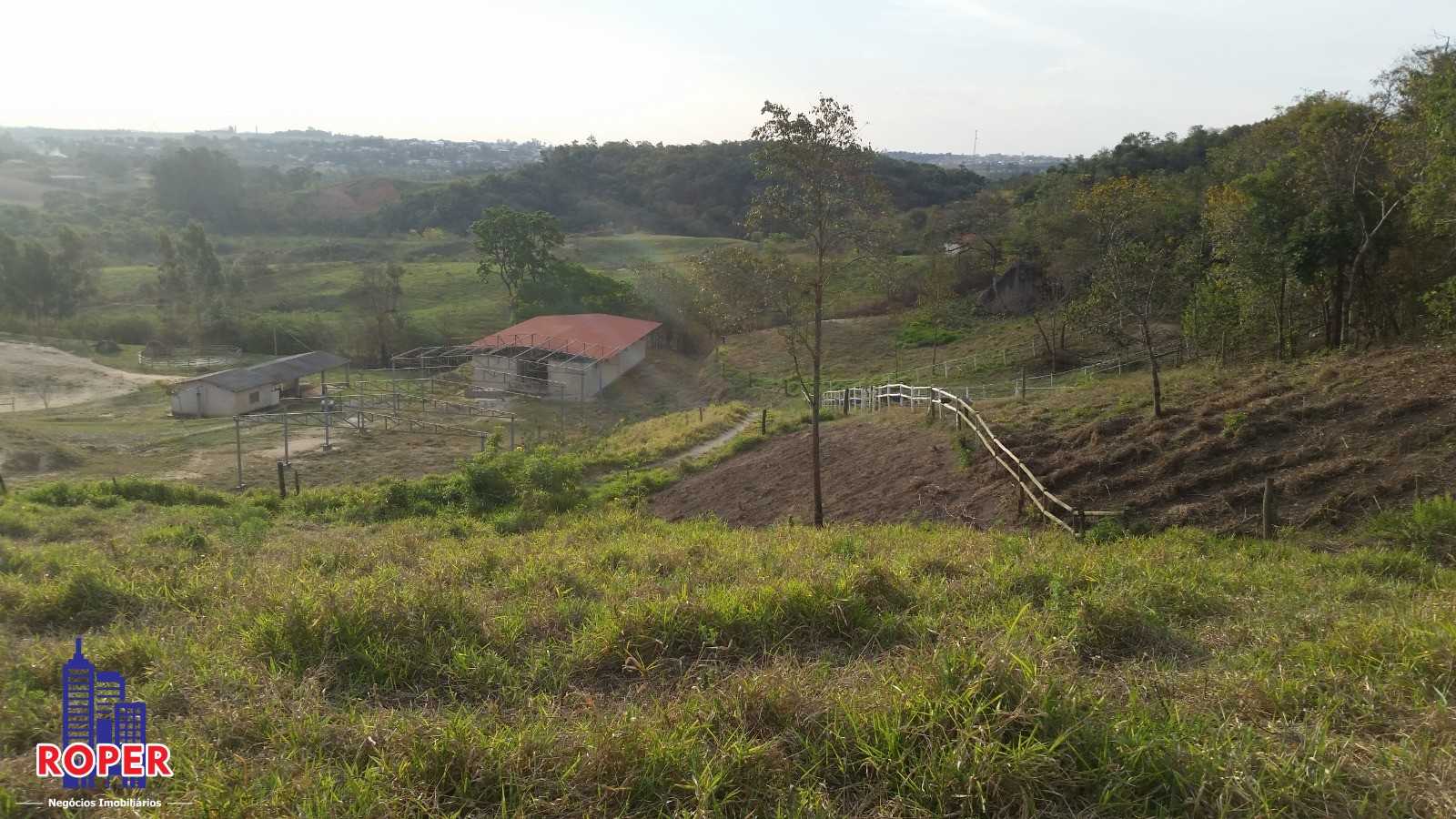 Haras e Área Rural Padrão à venda com 1 quarto, 66000m² - Foto 23