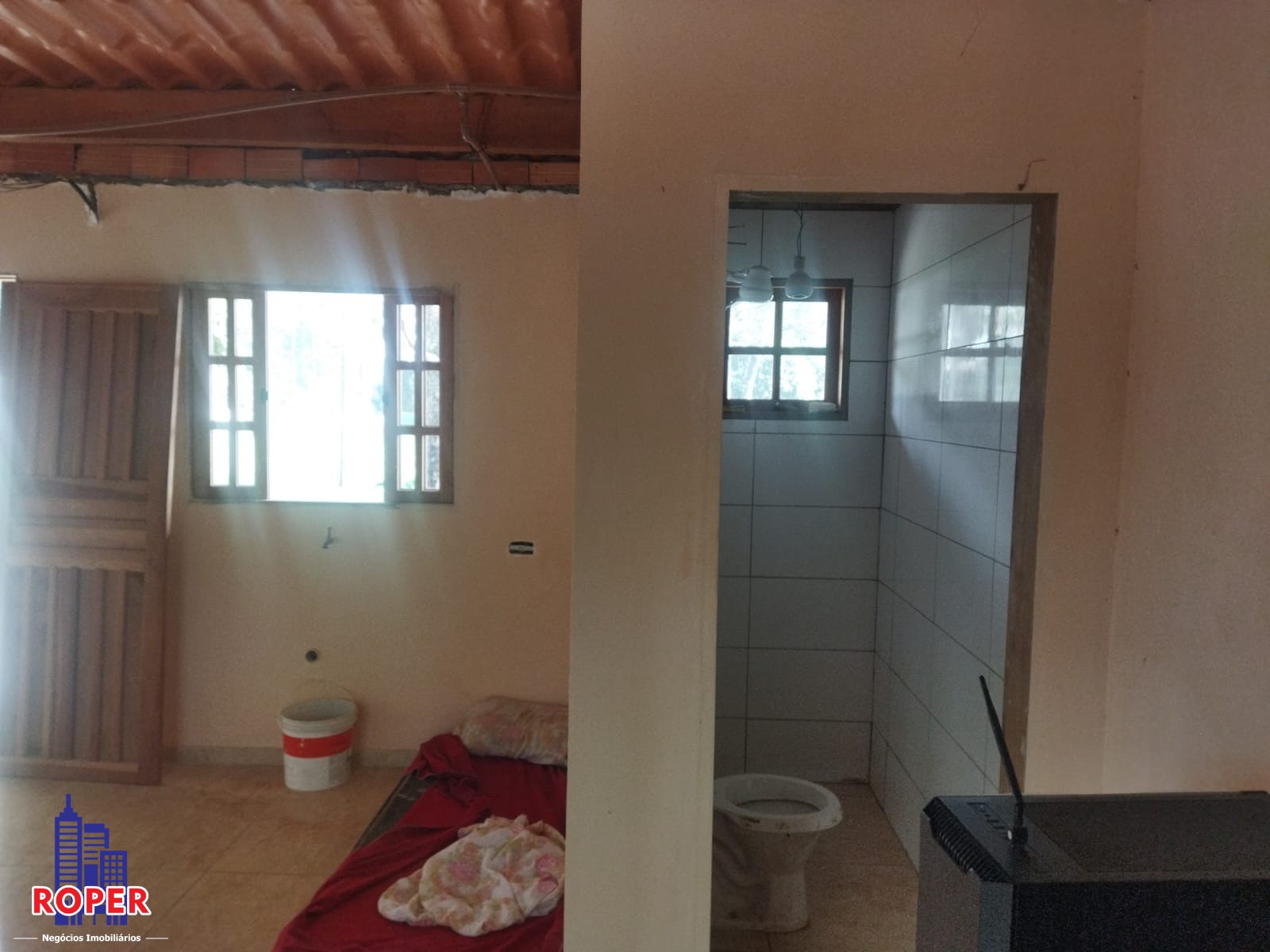 Chácara à venda e aluguel com 5 quartos, 9000m² - Foto 4