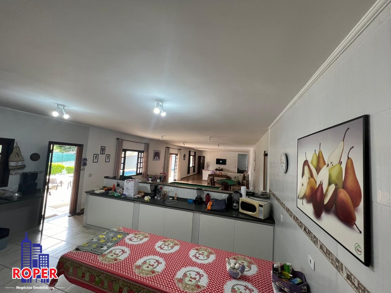 Chácara à venda com 4 quartos, 800m² - Foto 15