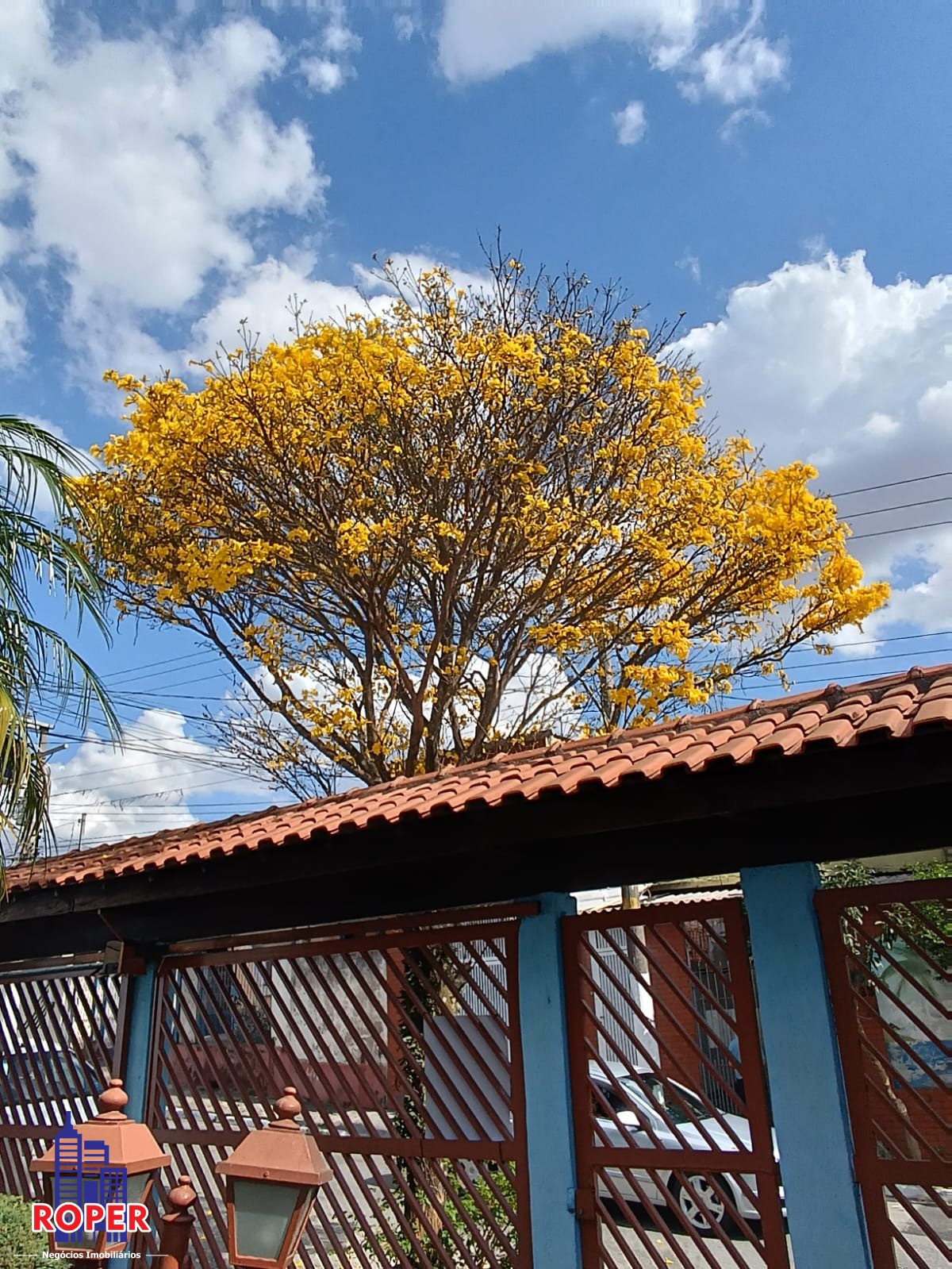 Casa à venda com 4 quartos, 320m² - Foto 5