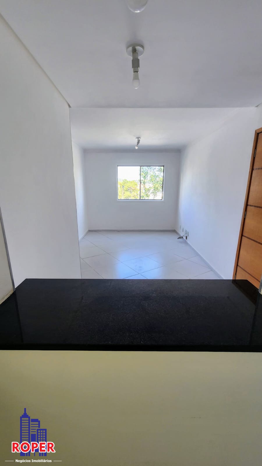 Apartamento à venda com 3 quartos, 55m² - Foto 8