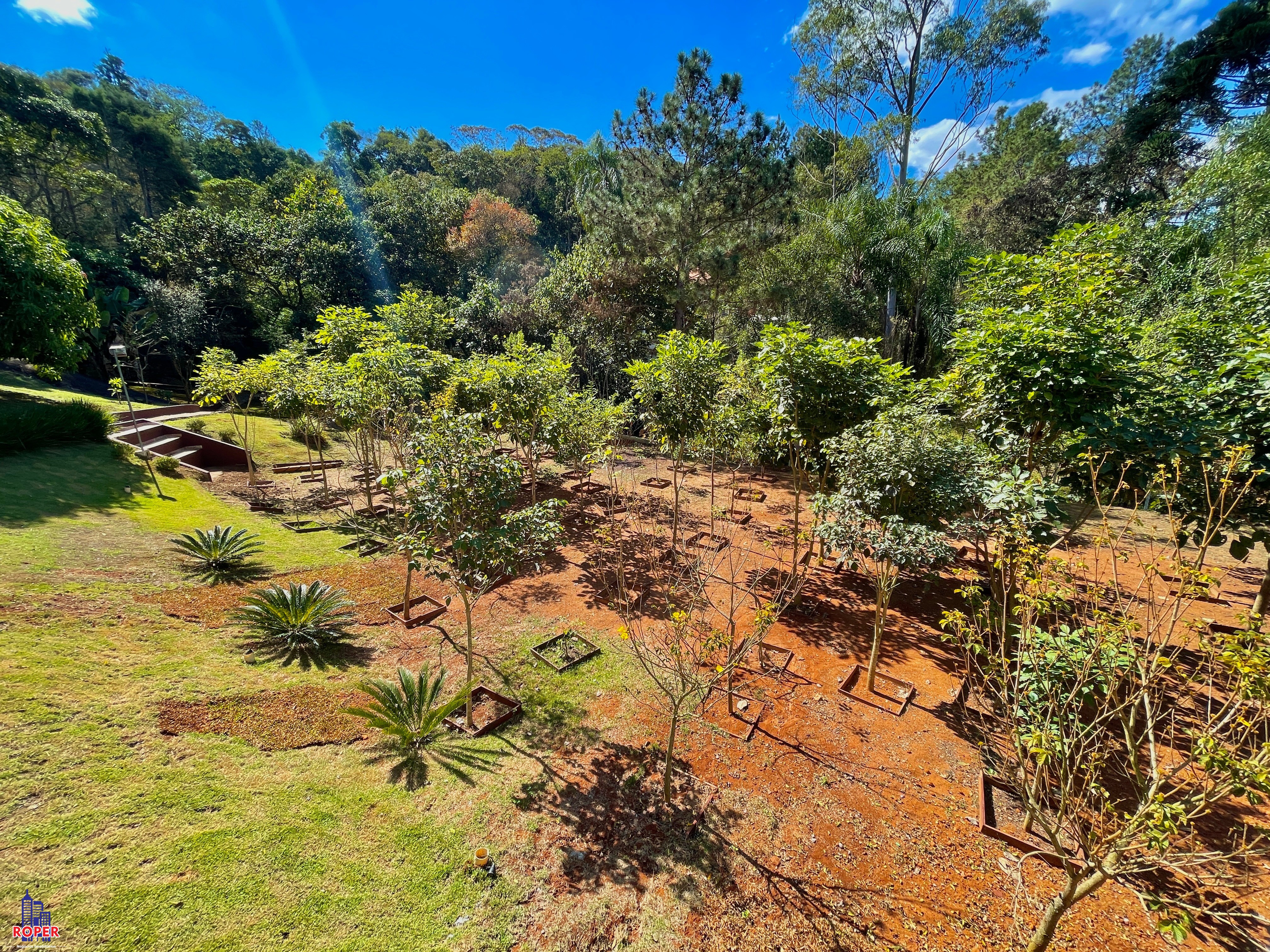 Chácara à venda com 3 quartos, 3000m² - Foto 51