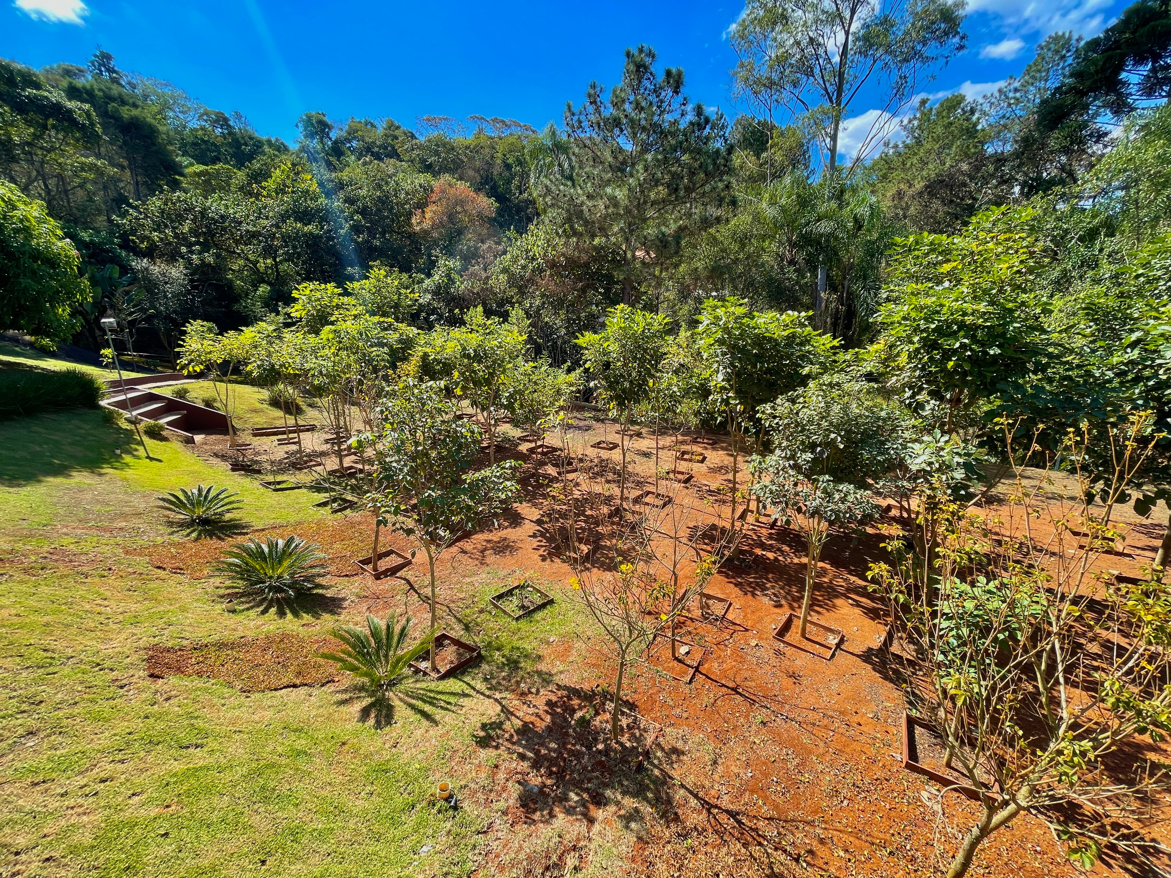 Chácara à venda com 3 quartos, 3000m² - Foto 56