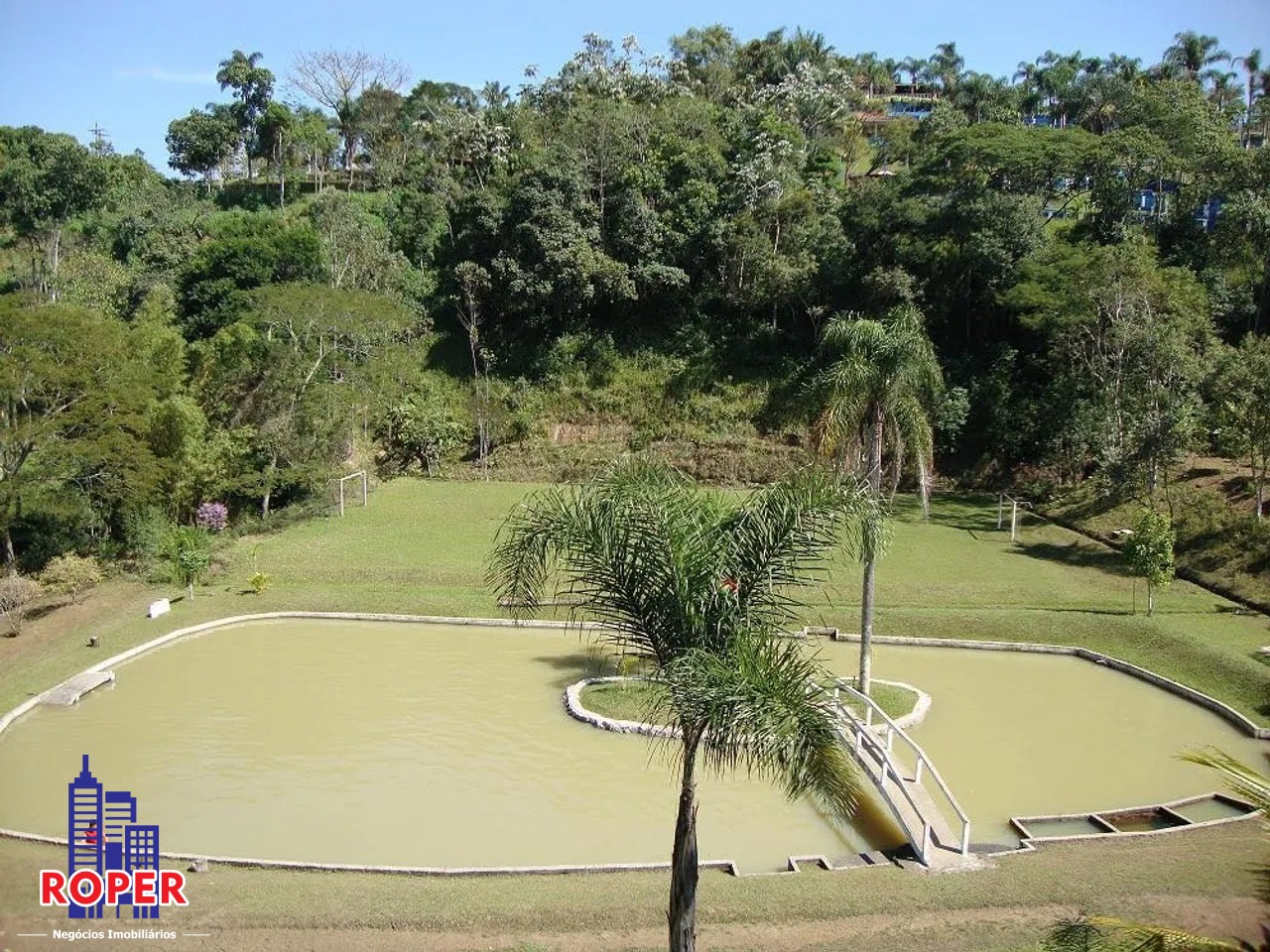 Chácara à venda com 4 quartos, 12000m² - Foto 12