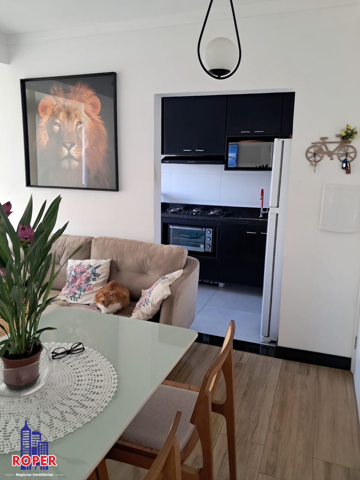 Apartamento à venda com 2 quartos, 50m² - Foto 1