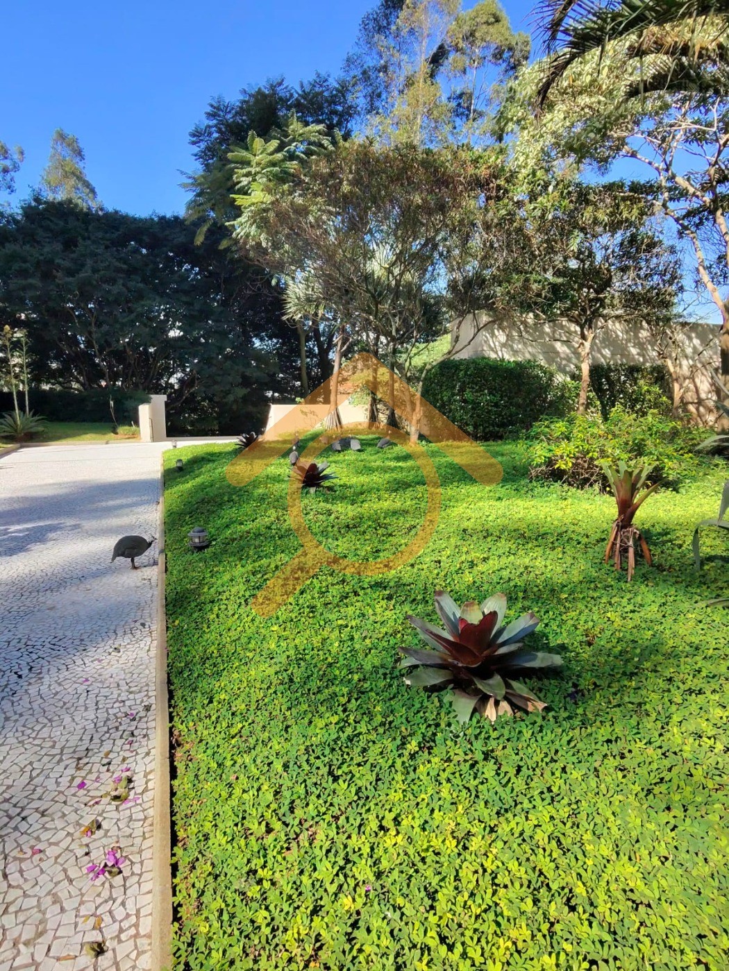 Apartamento, 3 quartos, 160 m² - Foto 16