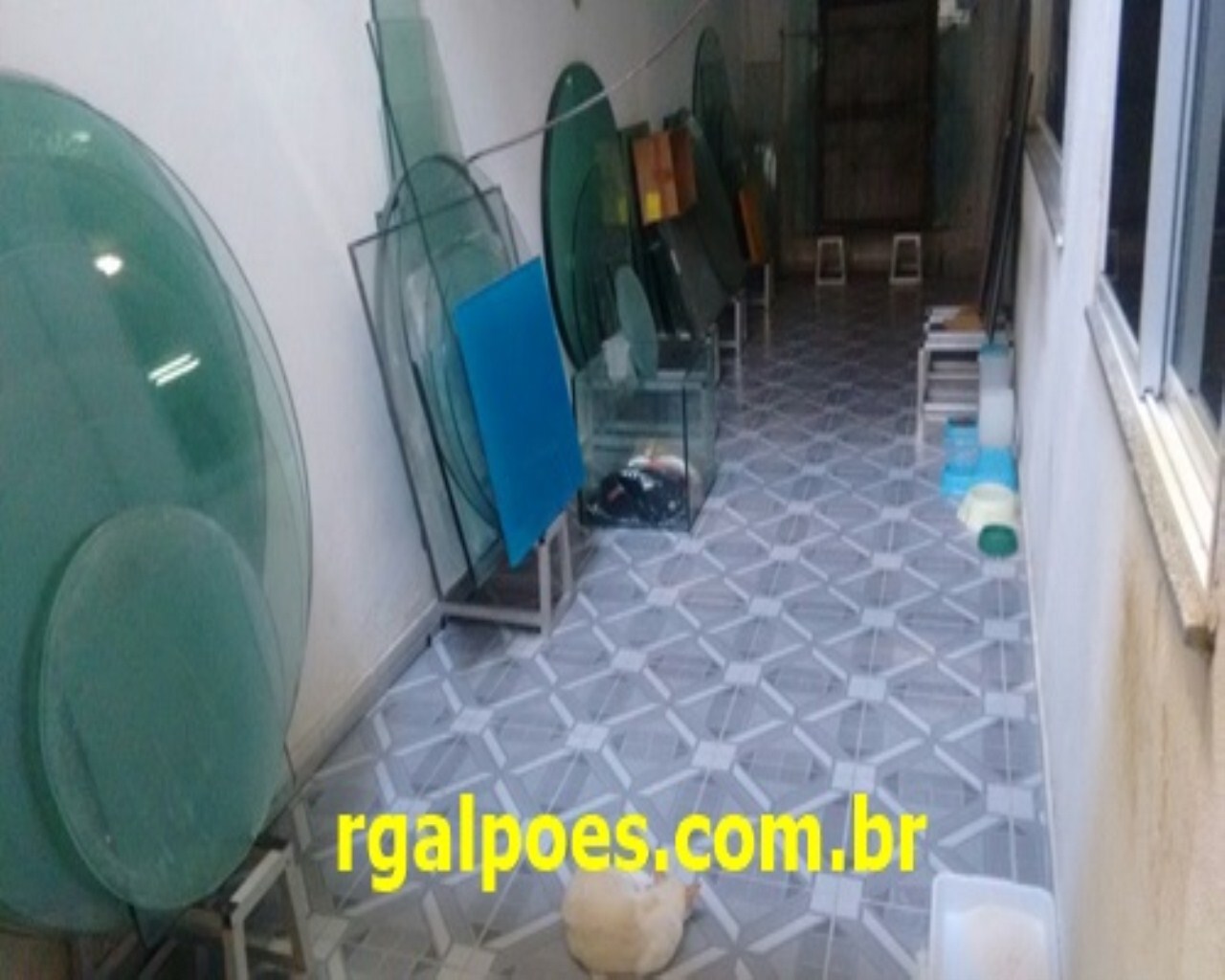 Depósito-Galpão - Foto 2