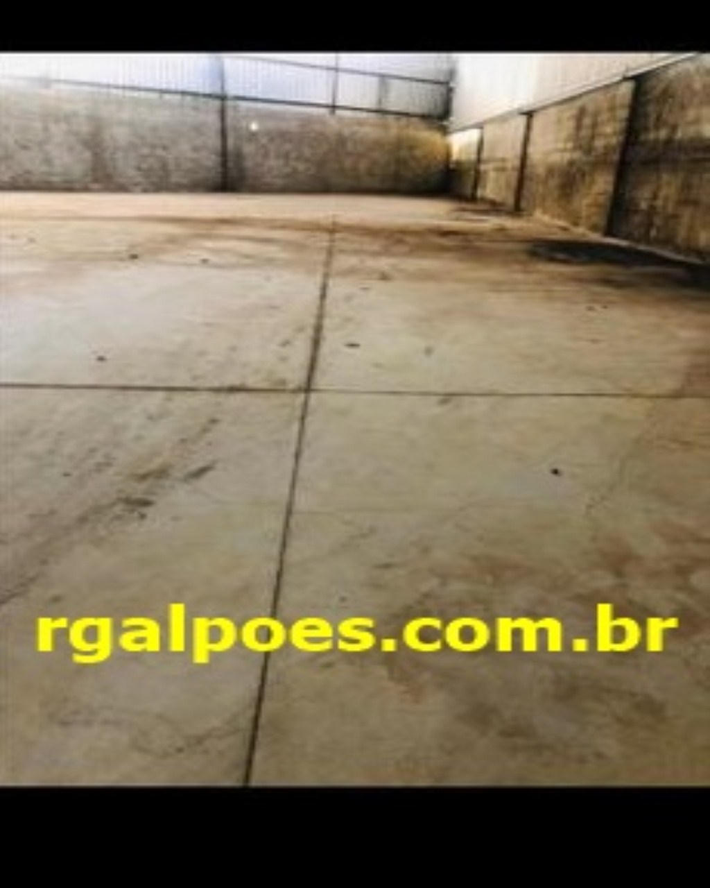 Depósito-Galpão - Foto 1