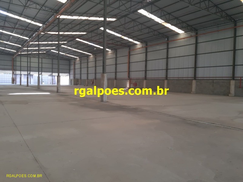 Depósito-Galpão - Foto 1