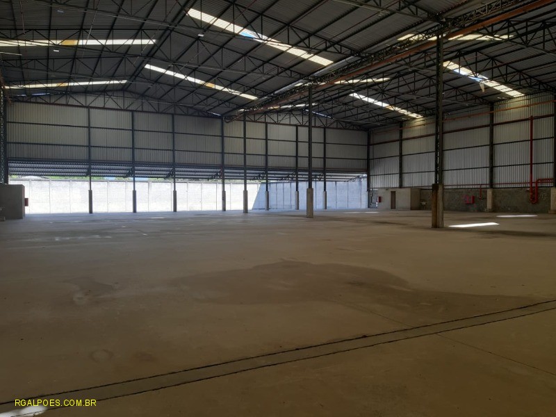 Depósito-Galpão - Foto 3