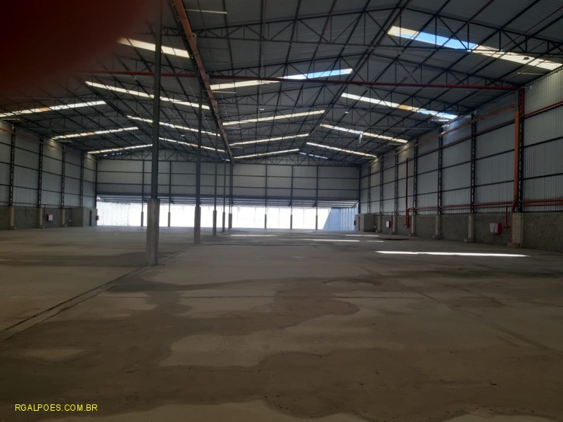 Depósito-Galpão - Foto 6
