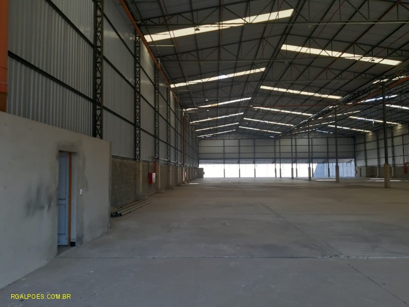 Depósito-Galpão - Foto 7