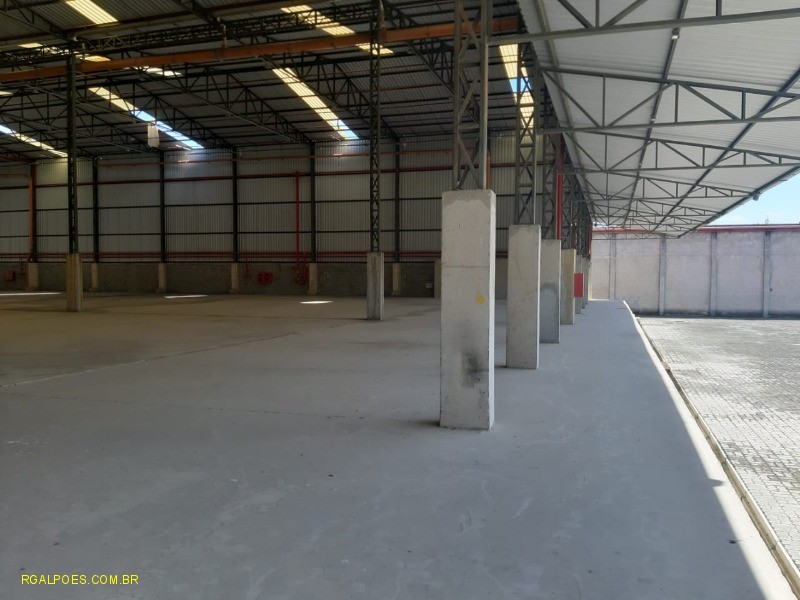 Depósito-Galpão - Foto 13