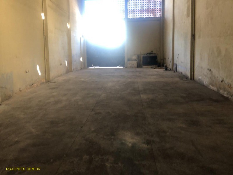 Depósito-Galpão - Foto 1