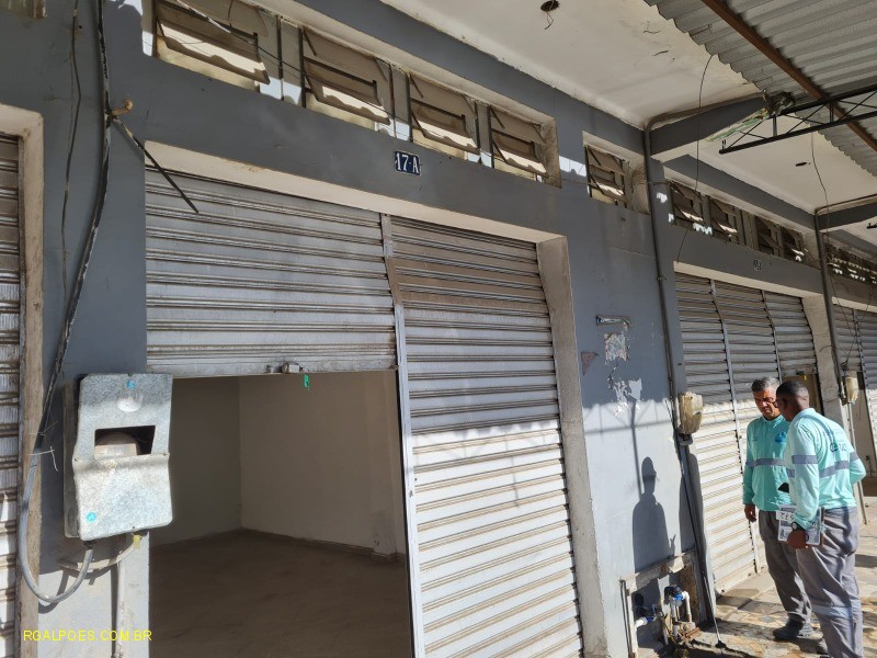 Sala-Conjunto - Foto 4