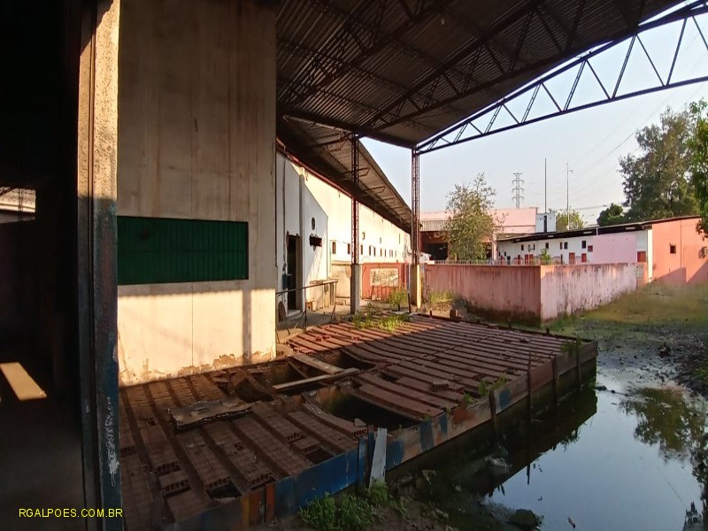 Depósito-Galpão - Foto 6