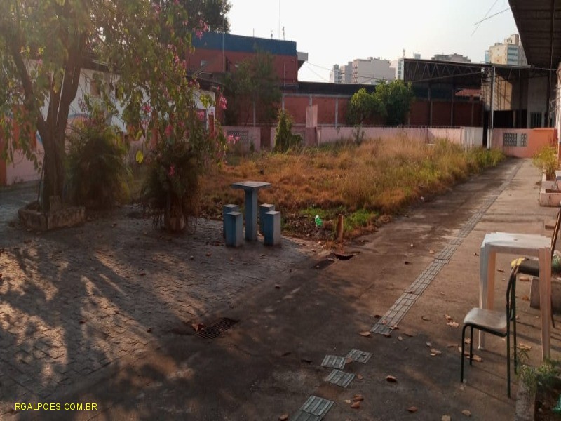 Depósito-Galpão - Foto 23