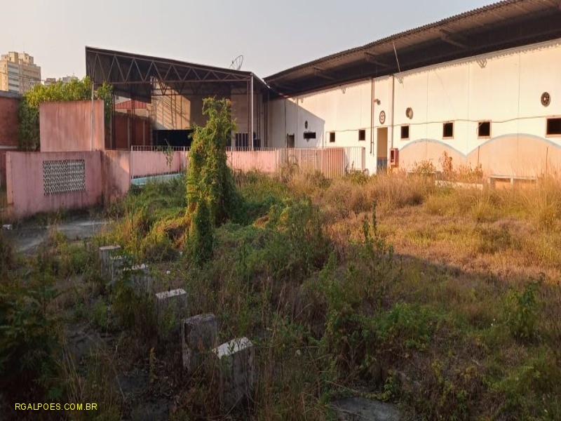 Depósito-Galpão - Foto 25