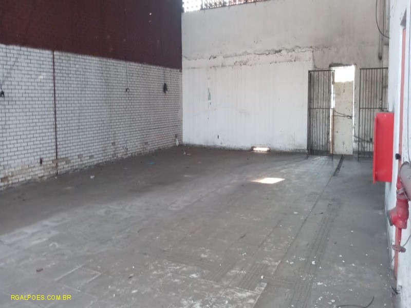 Depósito-Galpão - Foto 15