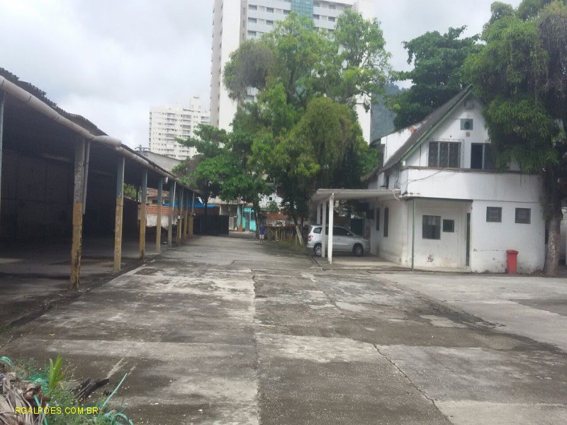 Depósito-Galpão - Foto 3