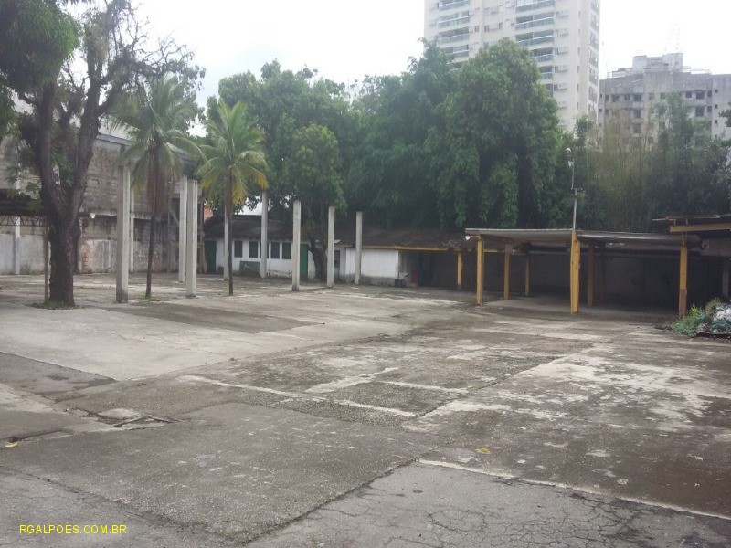 Depósito-Galpão - Foto 6