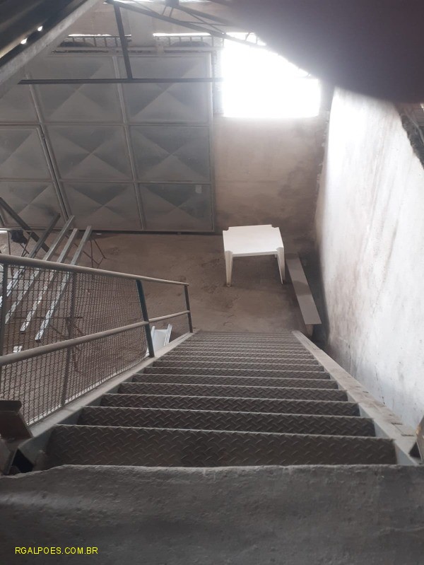 Depósito-Galpão - Foto 3