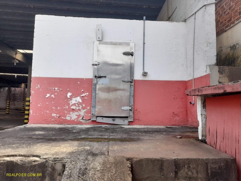 Depósito-Galpão - Foto 8