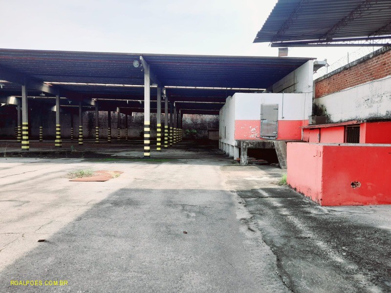 Depósito-Galpão - Foto 13