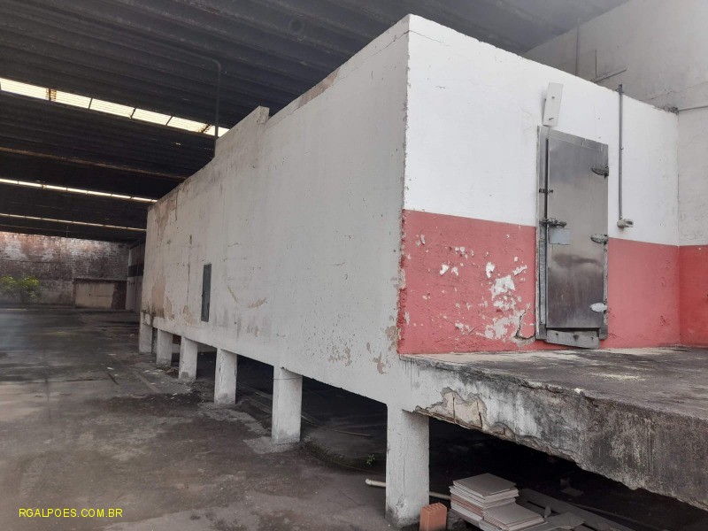Depósito-Galpão - Foto 7
