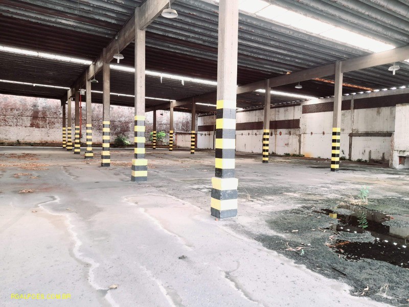 Depósito-Galpão - Foto 10