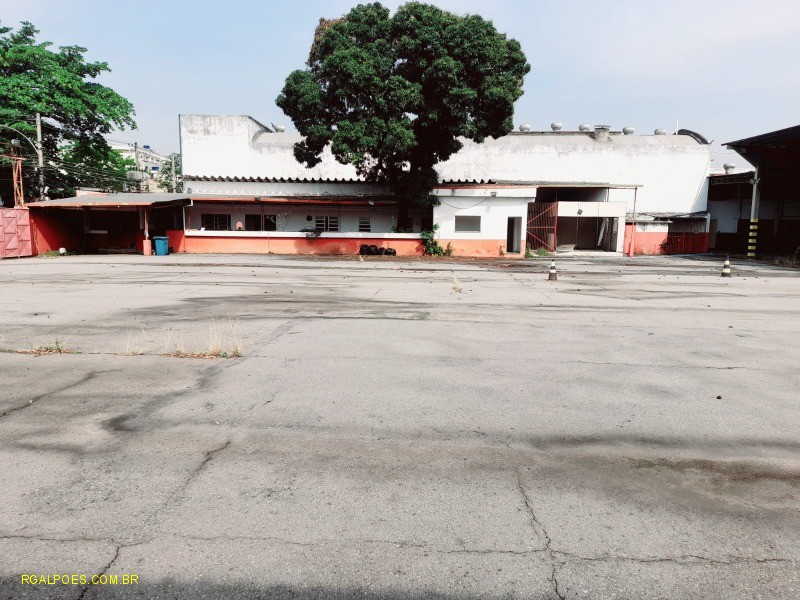 Depósito-Galpão - Foto 1