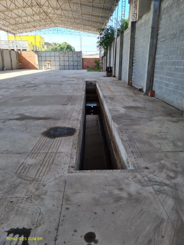 Depósito-Galpão - Foto 3