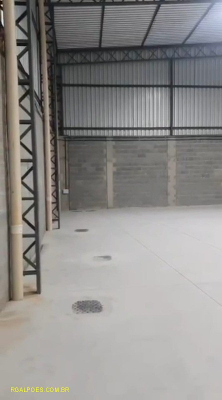 Depósito-Galpão - Foto 6