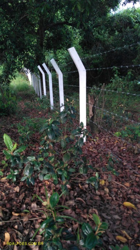 Loteamento e Condomínio - Foto 4