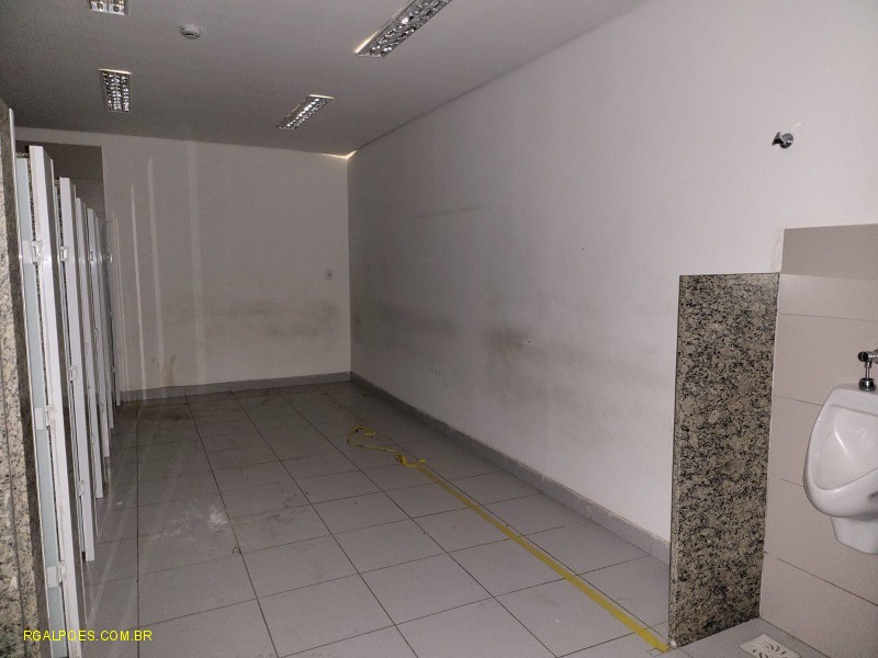 Depósito-Galpão - Foto 9