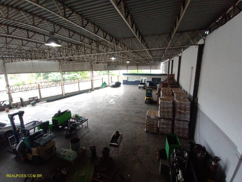 Depósito-Galpão - Foto 1