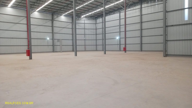 Depósito-Galpão - Foto 1