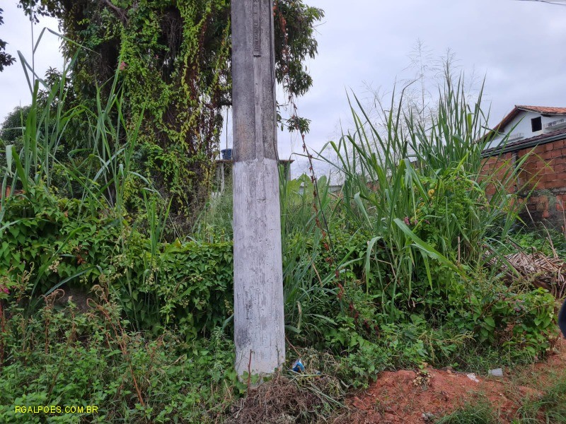 Loteamento e Condomínio - Foto 2