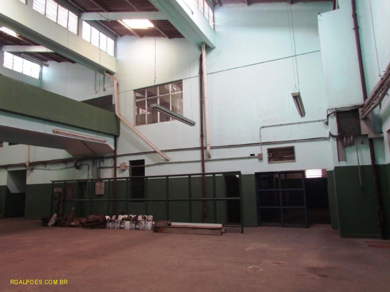 Depósito-Galpão - Foto 12