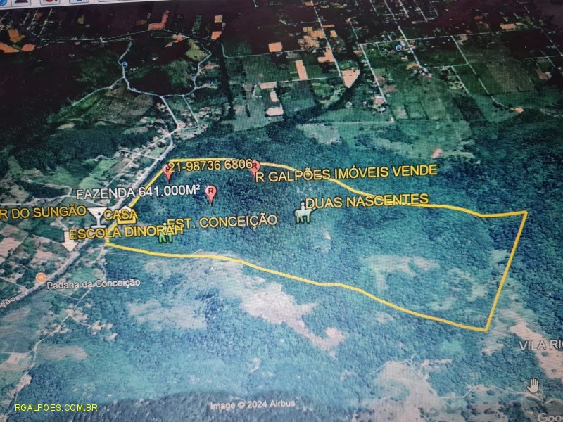 Fazenda, 64 hectares - Foto 7