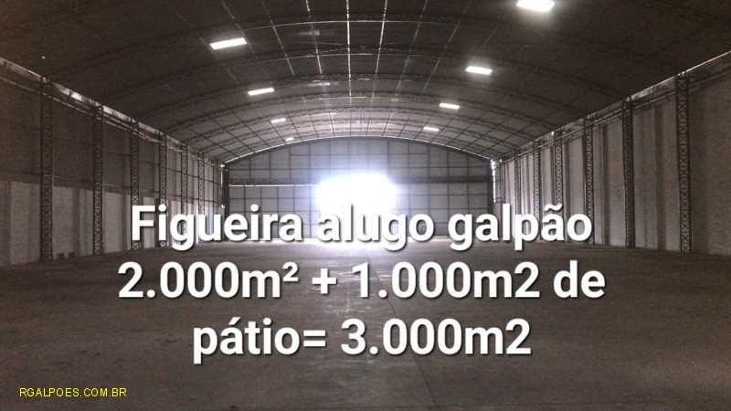Depósito-Galpão - Foto 1