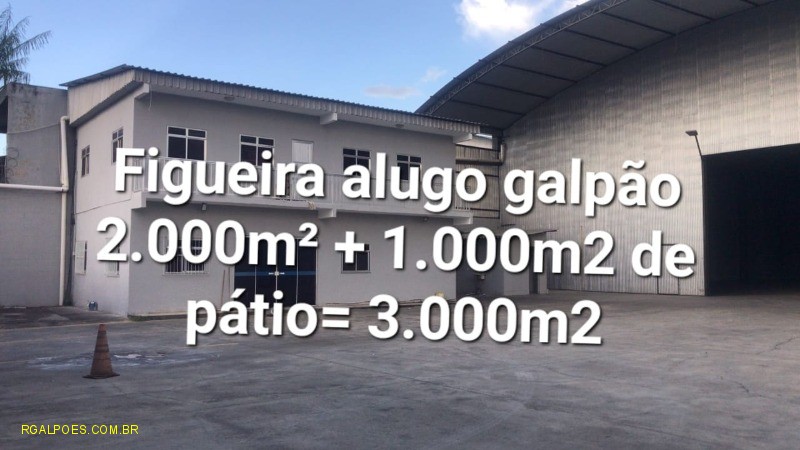 Depósito-Galpão - Foto 15