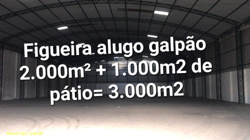 Depósito-Galpão - Foto 13