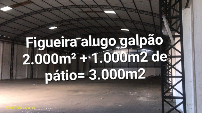 Depósito-Galpão - Foto 12