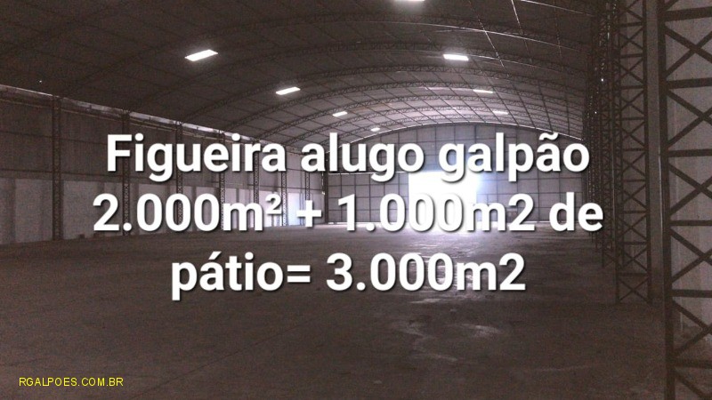 Depósito-Galpão - Foto 10