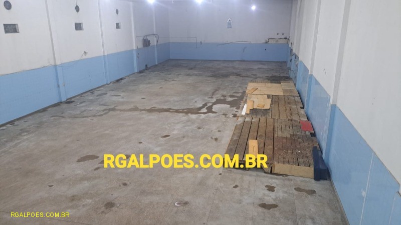 Depósito-Galpão - Foto 7