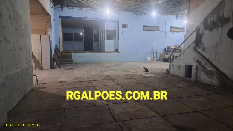 Depósito-Galpão - Foto 5