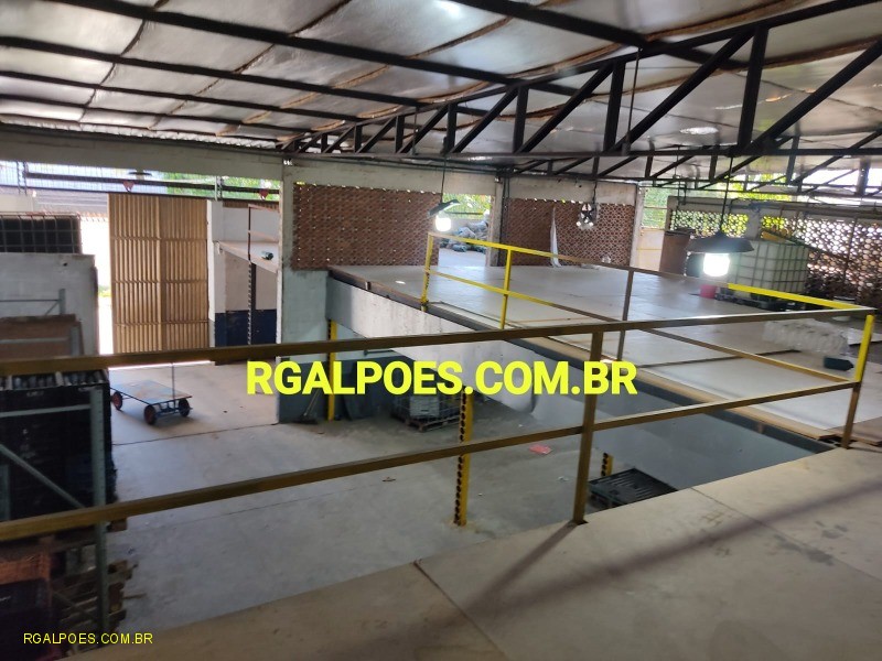 Depósito-Galpão - Foto 13