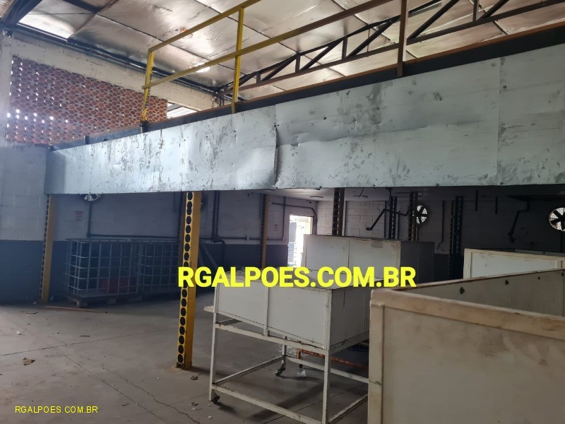 Depósito-Galpão - Foto 5