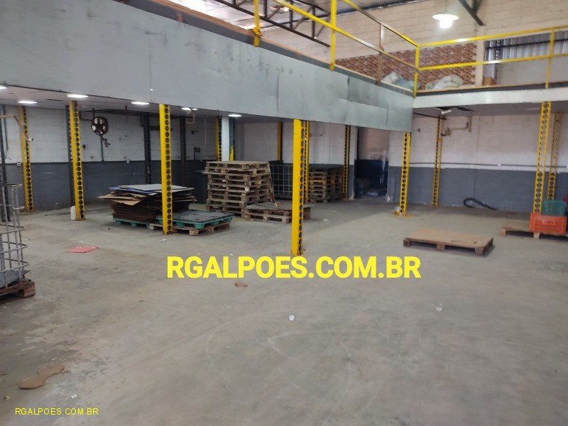 Depósito-Galpão - Foto 1